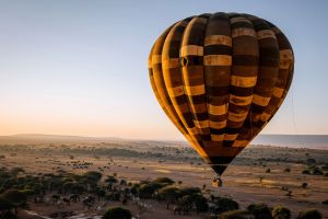 safari en montgolfière au-dessus du serengeti : aventure aérienne